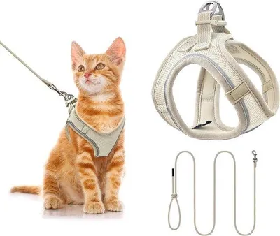 Produktbild von Verstellbares, atmungsaktives Hundegeschirr mit Leine für kleine und mittelgroße Hunde und Katzen