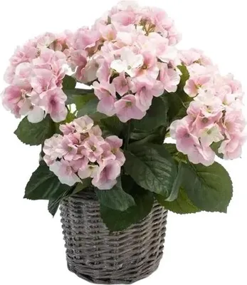 Produktbild von Emerald Künstliche Hortensie - Lennard | 45 cm, inkl. Dekotopf, für drinnen, Kunstblume, wie echt, Allergiker geeignet, pflanzliche Dekoration Praxis, Office & Wohnzimmer