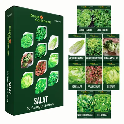 Produktbild von Salatsamen Set - 10 Sorten Samen - Saatgut Sortiment - Anzuchtset für Salat - Geschenkset - Schnittsalat, Feldsalat, Kopfsalat, Wintersalat, Eissalat, Romanasalat, Salatrauke und mehr