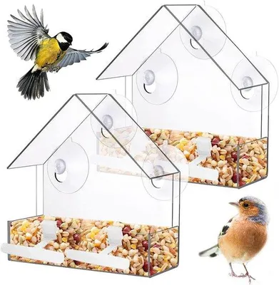 Produktbild von Vogelfutter für Vögel mit Saugnappen und Ständer