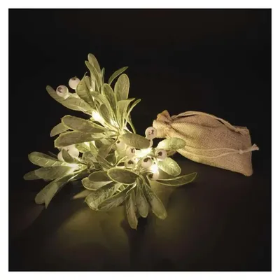 Immagine prodotto di Vischio LED EMOS con 14 LED, bianco caldo, timer 6/18 ore, con 2x AA, cavo da 0,25 m, incluso sacchetto di iuta, 10000h, uso interno, verde/bianco, DCTW29