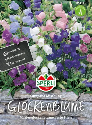 Produktbild von SPERLI Glockenblumensamen Campana 100 Pflanzen