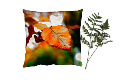 Produktbild von MuchoWow® Zierkissen Sofakissen Wohnzimmer Dekokissen 45x45 cm Buche - Herbst - Laub - Schlafpolster - Polster für das Sofa