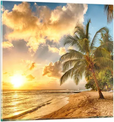 Produktbild von Bilder auf glas - Strand Meer Palme - 70x70cm - Glasbilder - Wandbilder - Kunstdruck - zum Aufhängen bereit - Wanddekoration aus Glas - Glas Bilder - Wandbild auf Glas - Einteilig - GAC70x70-3606
