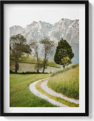 Produktbild von Felddogge in den Bergen– Wandbild mit Rahmen – Gerahmtes Bild  – Wanddekoration – 60x80 cm –  Schwarz Rahmen