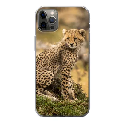 Produktbild von MuchoWow® Handyhülle Schutzhülle Hülle für iPhone 12 Pro Max Leopard - Wald - Tier Silikon Softcase Handy Hülle - Hartschale
