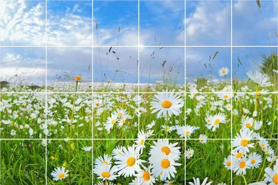 Produktbild von Fliesenaufkleber 10×10 cm – 24 Stück – Selbstklebend – Wasserfest – Pflegeleicht – Hitzebeständig – Für Küche & Bad – Blumenwiesenlandschaft