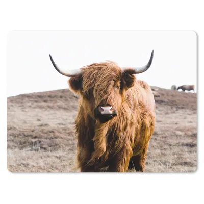 Produktbild von MuchoWow® Mauspad Mousepad Schottische Highlander - Landschaft - Kuh - Braun - Tiere - Natur 40x30 cm - Mousepads - Maus Mat - Pad - Mausunterlage - Anti Rutsch