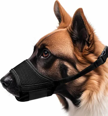 Produktbild von Nylon Maulkorb für Hunde - Verstellbar und Atmungsaktiv - Verhindert Fressen, Beißen und Bellen - Schwarz S