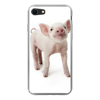 Produktbild von MuchoWow® Handyhülle Schutzhülle Hülle für iPhone 7 Schwein - Tiere - Weiß Silikon Softcase Handy Hülle - Kartenhalter