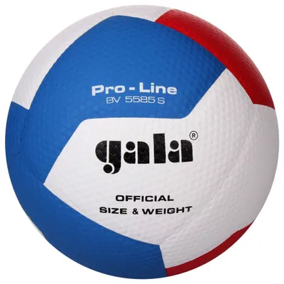 Obrázek produktu pro BV5585S Pro-Line volejbalový míč