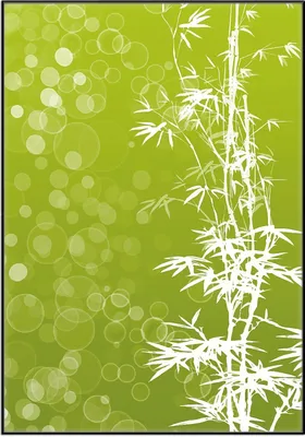 Produktbild von Wallario Wandbild Bambusmuster grün-weiß, Größe: 70,30 x 100,30 cm, Poster mit schwarzem Aluminiumrahmen