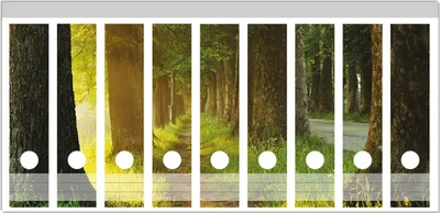Produktbild von Wallario Ordnerrücken Sticker, selbstklebend für breite Ordner, 9 Stück, Motiv Allee bei Sonnenuntergang