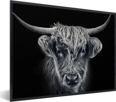 Produktbild von MuchoWow® Gerahmtes Poster Schottischer Highlander - Schwarz - Kuh - Tiere 80x60 cm - Poster mit Schwarzem Bilderrahmen Wandposter Rahmen Foto Bilder - Schwarzem - Mit Gestell