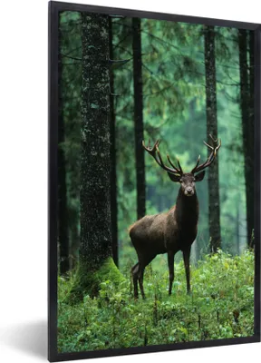 Produktbild von MuchoWow® Gerahmtes Poster Hirsche - Wald - Bäume - Tiere - Natur 60x90 cm - Poster mit Schwarzem Bilderrahmen Wandposter Rahmen Foto Bilder - Kunst