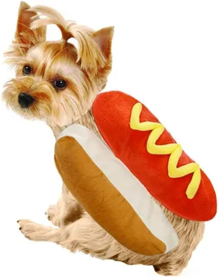 Produktbild von Haustier Hot Dog Kostüm Hamburger Design Hund Kleidung (M)