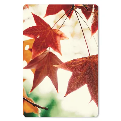 Produktbild von MuchoWow® Mauspad Mousepad Herbstblätter - November - Natur - Bäume 18x27 cm - Mousepads - Maus Mat - Pad - Mausunterlage