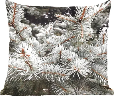 Produktbild von MuchoWow® Zierkissen Sofakissen Wohnzimmer Dekokissen 45x45 cm Baum - Äste - Winter - Schlafpolster - Polster für das Sofa