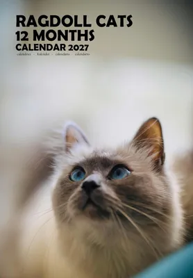 Immagine prodotto di Calendario da parete formato A3 per il 2027, con immagini di gatti Ragdoll