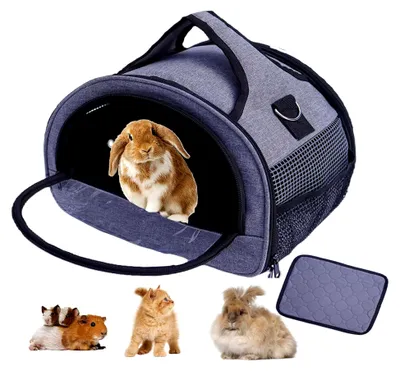 Produktbild von Transportbox für Katzen und Kaninchen, faltbare Tragetasche für kleine Haustiere, grau (M)