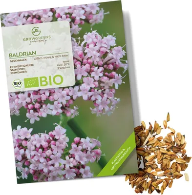 Produktbild von Baldrian Samen - Heilkräuter Saatgut aus biologischem Anbau ideal für den heimischen Kräutergarten, Balkon & Garten (200 Korn)