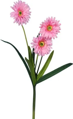 Zdjęcie produktu dla Sztuczny Kwiat Gerbera Różowy 55cm - Wysokiej Jakości Dekoracja