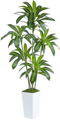 Produktbild von Kunstmatige tropische Yucca vloerplant, woonkamer, kantoor, tuin, UV-bestendig, wit, 180 cm
