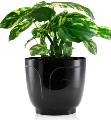 Produktbild von HowHomely Blumentopf Zoe 16 cm Höhe, Pflanzkübel, Schwarz Übertopf für garten balkon