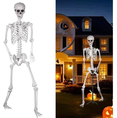 Immagine prodotto di Scheletro di Halloween, 240 cm di altezza, corpo intero in plastica con articolazioni mobili, ideale per decorazioni