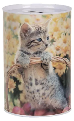 Image de Clayre & Eef Tirelires Ø 10x15 cm Beige Métal Chat