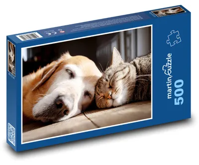 Obrázek produktu pro martinpuzzle - Puzzle 500 - Spící kočka a pes