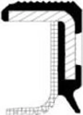 Obrázek produktu pro u.32x47x10                VAG PTFE BAPTRDX7                                    +