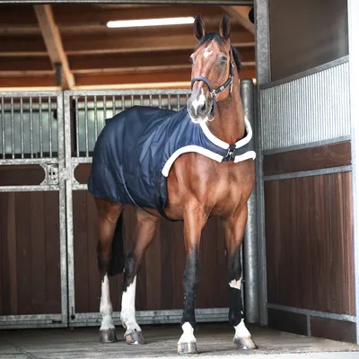 Produktbild von BUSSE Führanlagendecke Trainer 50 Navy 135