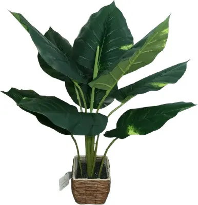 Zdjęcie produktu dla ROŚLINA SZTUCZNA Strelicja HOMLA 60cm