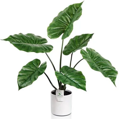 Immagine prodotto di Foglie artificiali di Monstera in vaso bianco, 68 cm, per soggiorno, ufficio, festival e feste