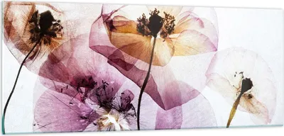 Produktbild von Bilder auf glas - blume sommer natur - 100x40cm - Glasbilder - Wandbilder - Kunstdruck - zum Aufhängen bereit - Wanddekoration aus Glas - Glas Bilder - Wandbild auf Glas - Einteilig - GAB100x40-3821