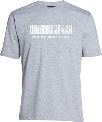 Produktbild von Übergrößen T-Shirt Waikiki weiß AHORN SPORTSWEAR Grey Melange 3XL