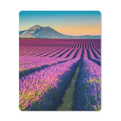 Produktbild von MuchoWow® Mauspad Mousepad Lavendel - Berg - Blumen 19x23 cm - Mousepads - Maus Mat - Pad - Mausunterlage - Mauspads - Spielen