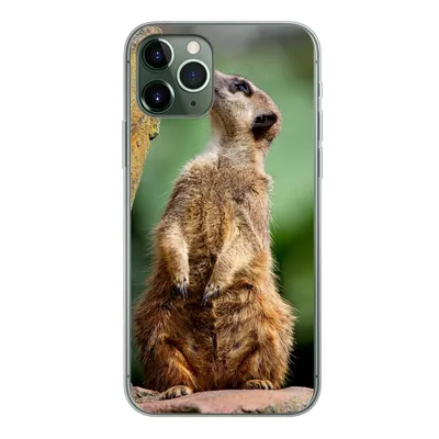 Produktbild von MuchoWow® Handyhülle Schutzhülle Hülle für iPhone 11 Pro Erdmännchen - Tier - Rock Silikon Softcase Handy Hülle - Handy