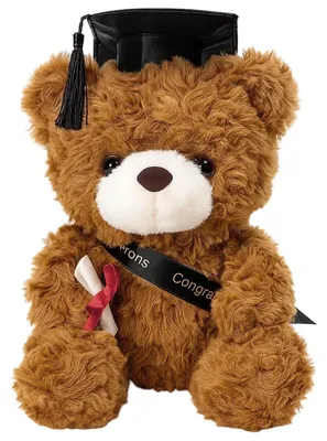 Image de Ours en peluche avec un chapeau de docteur et un certificat, couleur marron, 23 cm
