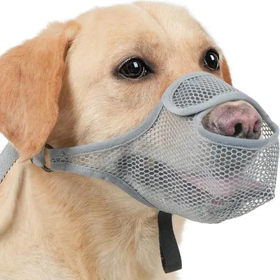 Produktbild von Weicher und atmungsaktiver Maulkorb für Hunde, verstellbar, Größe XL