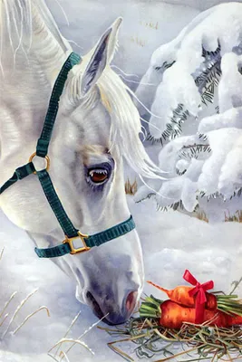 Produktbild von "Malen nach Zahlen: Pferd, Schnee, 50x40 cm, auf Leinwand auf Keilrahmen."