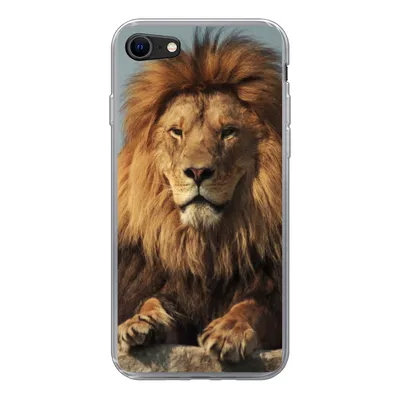 Produktbild von MuchoWow® Handyhülle Schutzhülle Hülle für iPhone 8 Löwe - Felsen - Porträt Silikon Softcase Handy Hülle - Schutzhaube