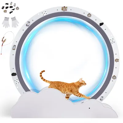Produktbild von GTPLAYER Katzenlaufrad, laufrad Katze, Extra großer 100 cm, ultraleises Laufrad mit Abnehmbarer Teppich und Spielzeug, Aufkleber, Verriegelung, geeign