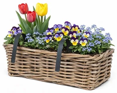 ikarus blumenkasten Künstlicher Blumenkasten