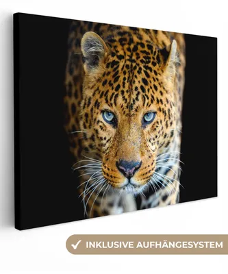 Obrázok produktu pre MuchoWow® - Plátno - Leopard - Zvieratá - Portrét - Divoká príroda - Čierna, fototapeta, nástenné dekorácie obrazy obývacia izba, 120x90cm