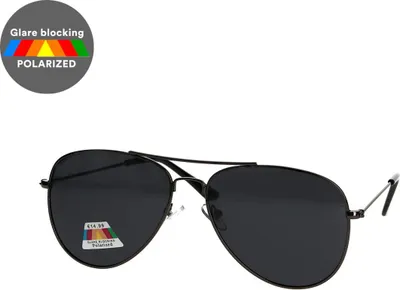Image de Spectrum lunettes de soleil polarisées Pilot noir gris hommes