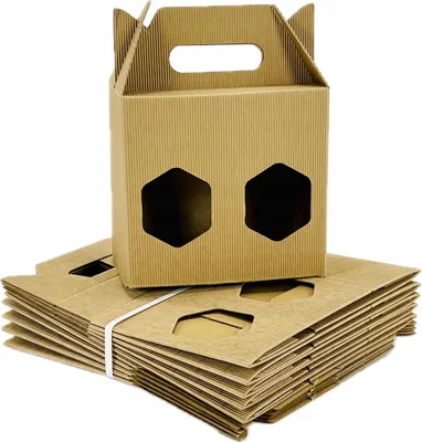Image de Lot 10 Boîtes Carton Cadeau pour 2 Bocaux 900/815ml