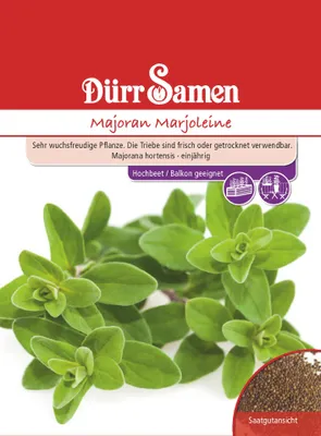 Artikelbild 1 von 'Majoran Marjoleine' aus der Kategorie Majoransamen