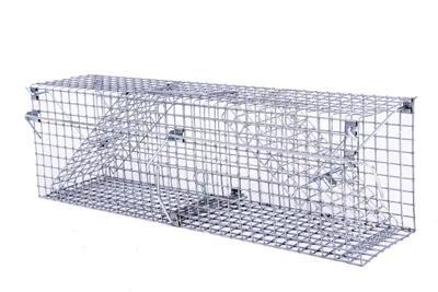 Image de piège pour martres, belettes, putois, chats errants et rats 15x19x65cm